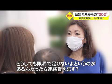 女性を元気にする会 食料支援 テレビ報道